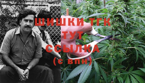 гидра Балабаново