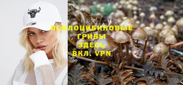 гидра Балабаново