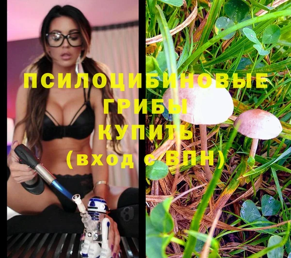 гидра Балабаново