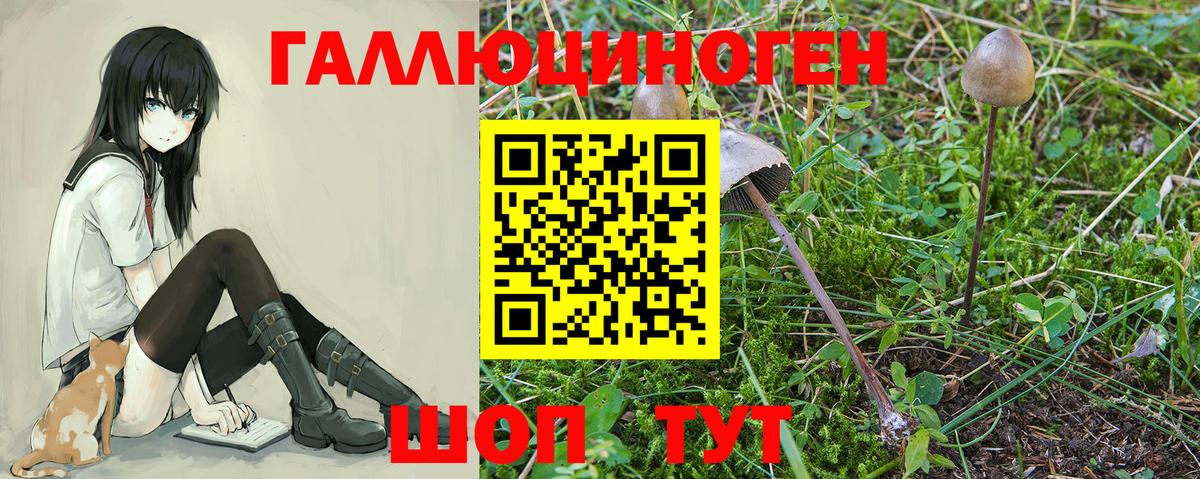 Галлюциногенные грибы прущие грибы  наркотики  Корсаков  Галлюциногенные грибы GOLDEN TEACHER 