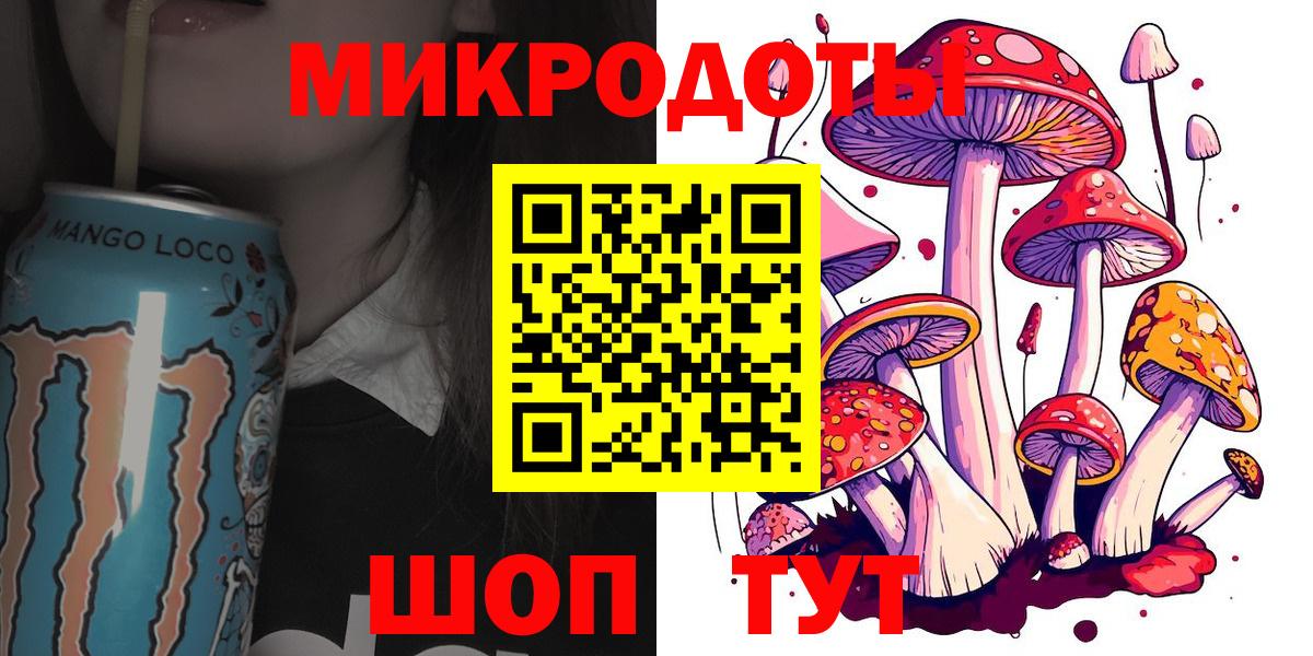 Псилоцибиновые грибы Psilocybe Корсаков