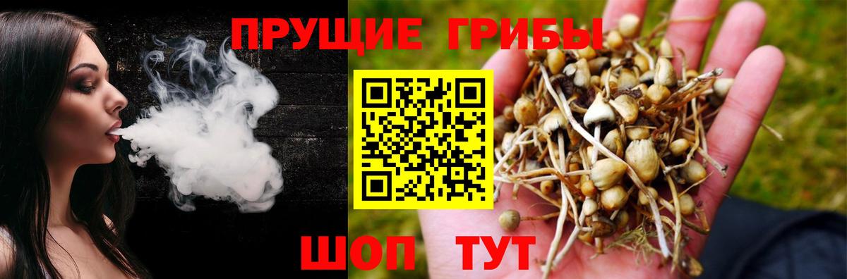 Корсаков  Псилоцибиновые грибы мицелий  Галлюциногенные грибы прущие грибы  Вход с VPN 
